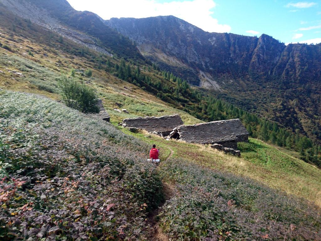 l'Alpe Menta alla base della salita verso il Ragozzale