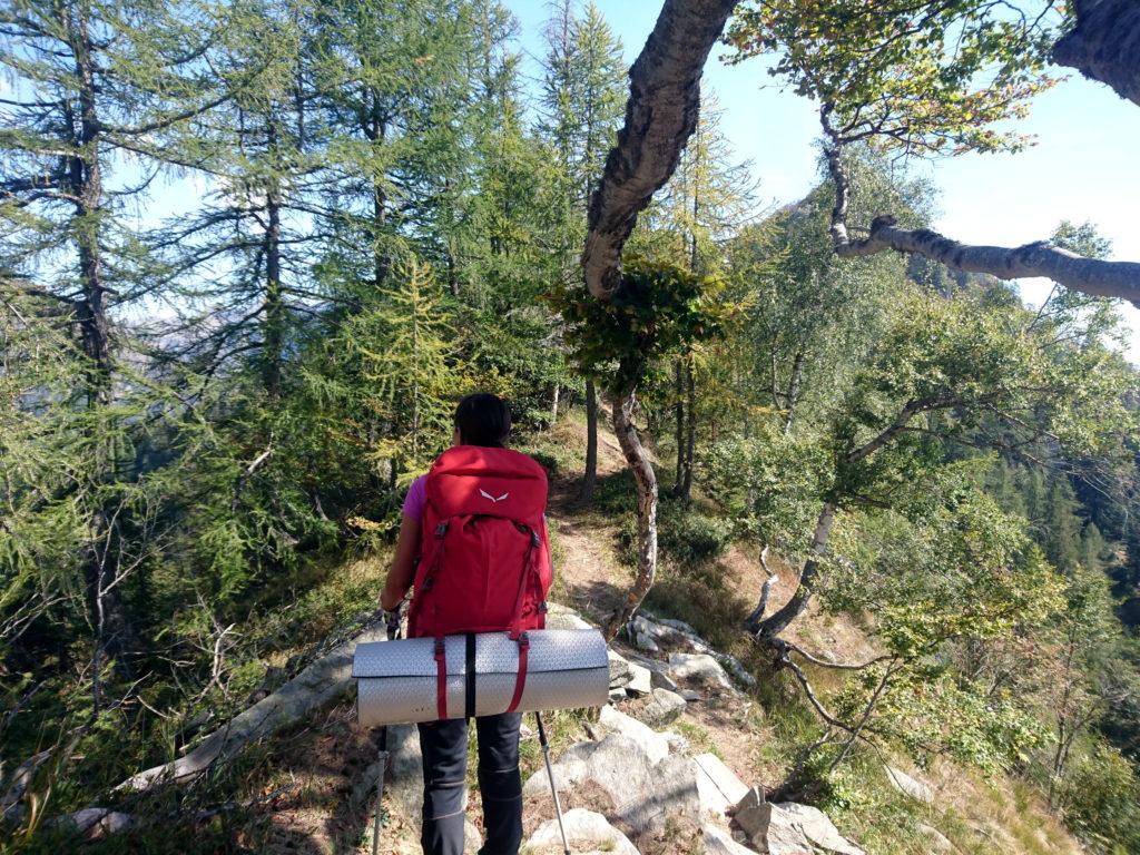 la parte centrale della cresta che conduce all&#039;Alpe Mottac