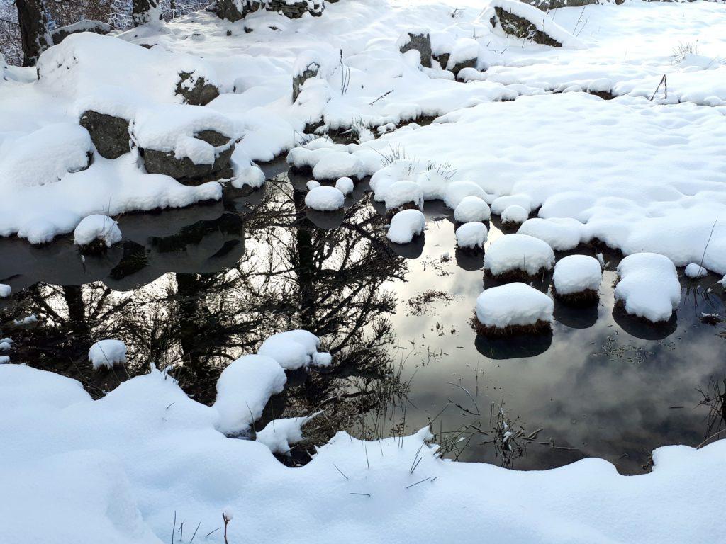 tutta la zona è ricchissima di acqua, che scorre sotto la neve e si raccoglie in pozze