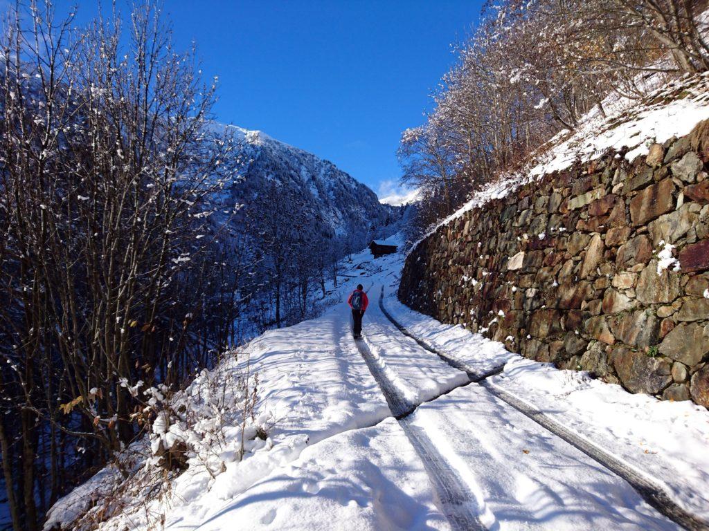 ci incamminiamo lungo la carrabile che dalla sbarra prosegue lungo il Vallone di San Grato