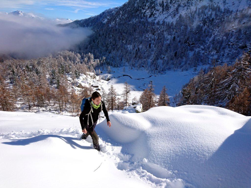 troviamo un punto dove il bosco diventa più rado, e proseguiamo guadagnando quota