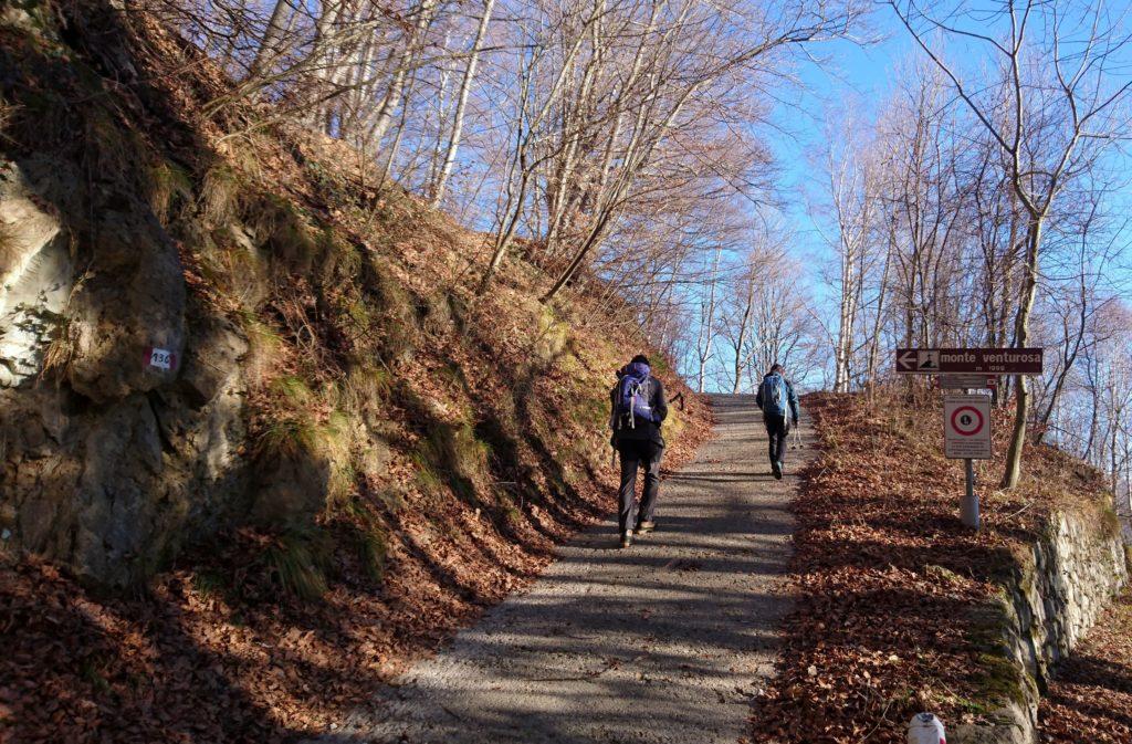 attacco della mulattiera verso il Monte Venturosa