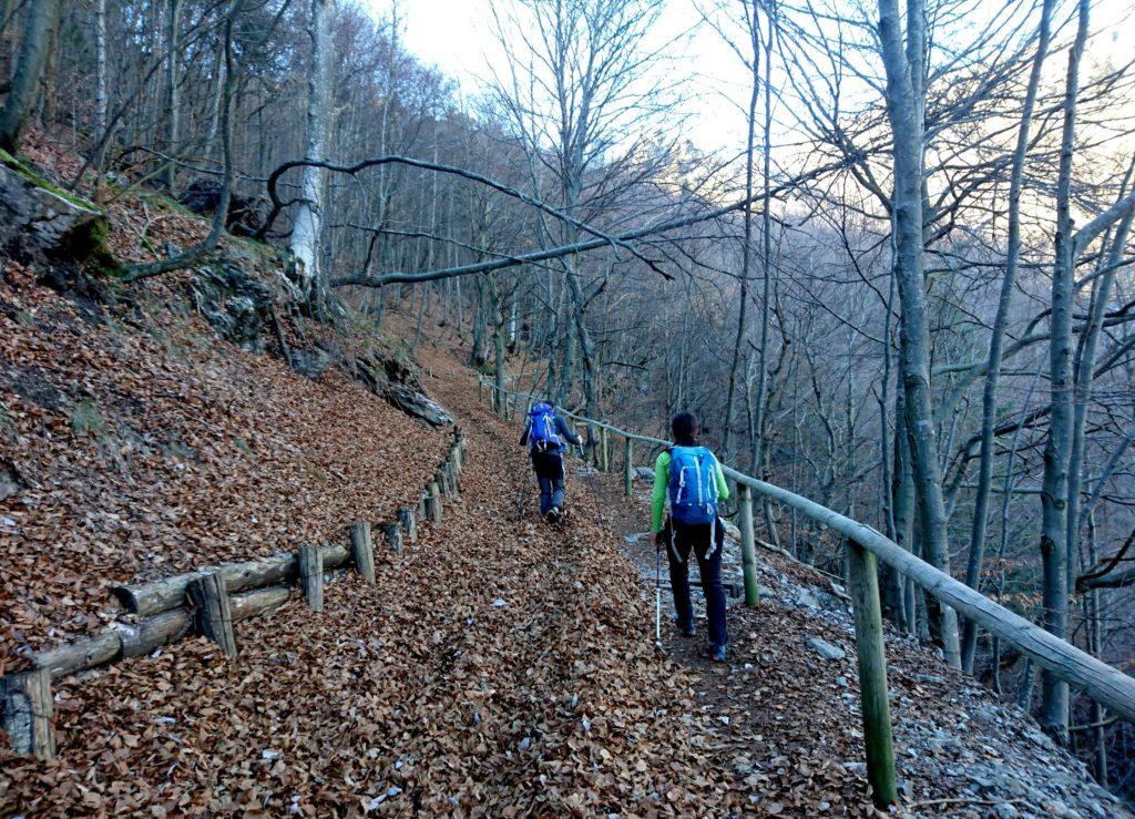 primo tratto di mulattiera nel bosco