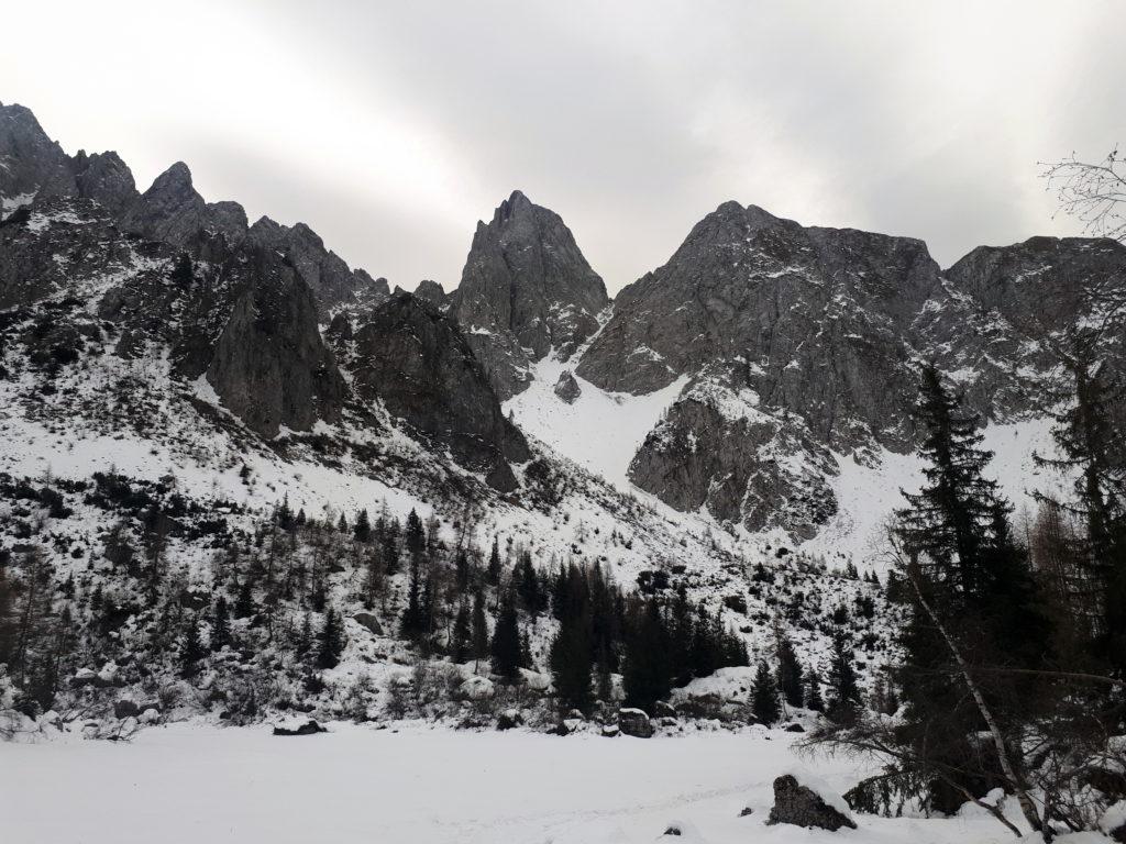 Appena usciti dal bosco il Cimone si mostra in tutta la sua maestosità