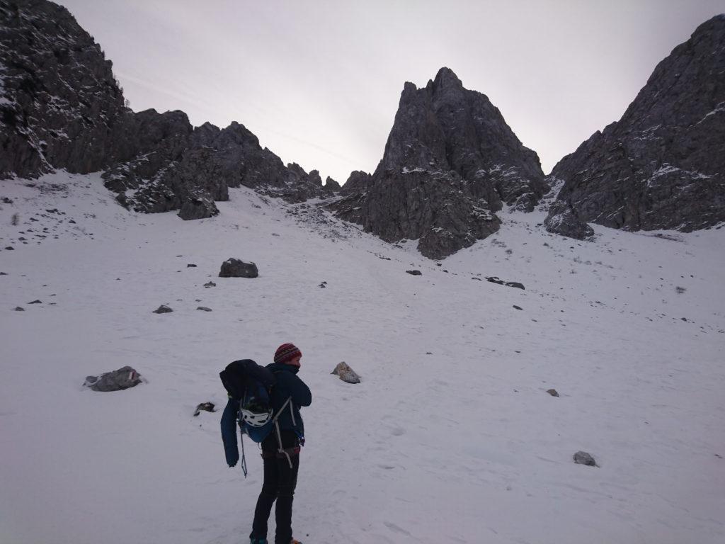 Erica sul nevaio che conduce all'attacco del canale