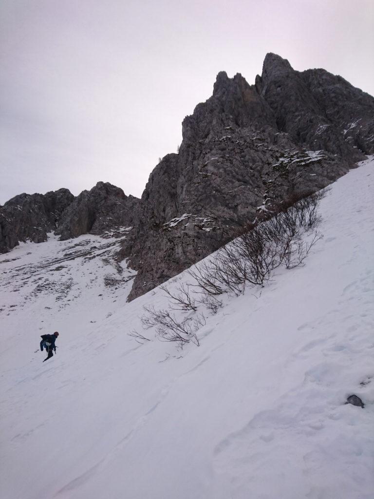 Erica punta all&#039;ingresso del canale