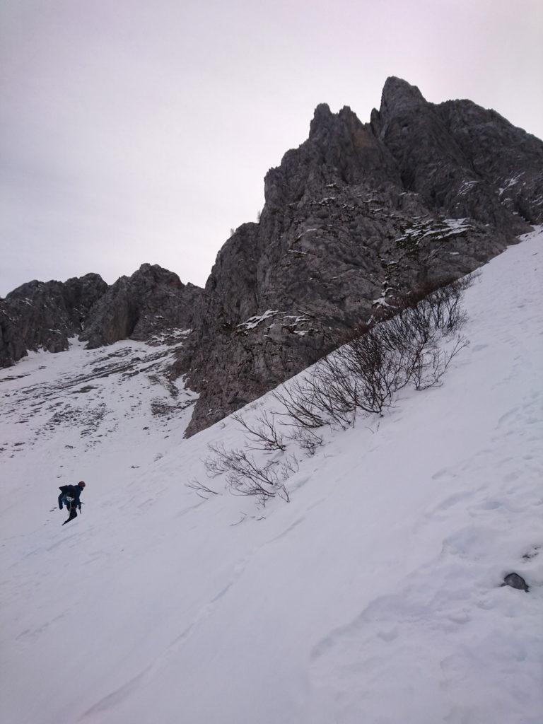 Erica punta all'ingresso del canale