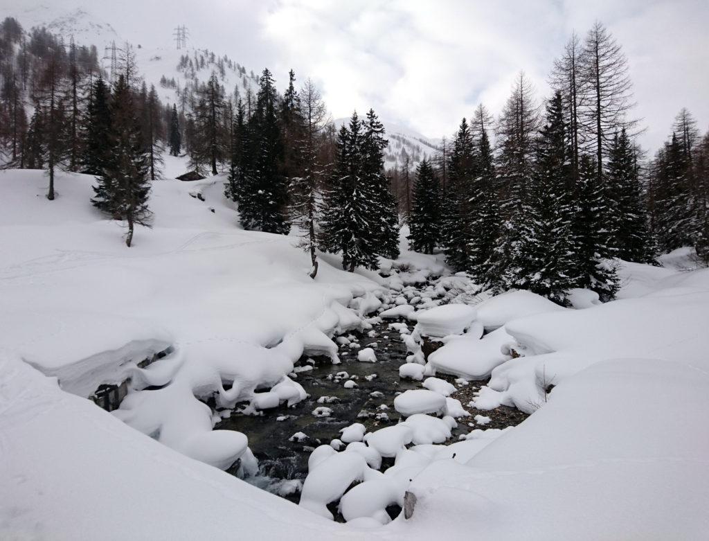 Lo splendido torrente con le gobbe di polvere appena depositata