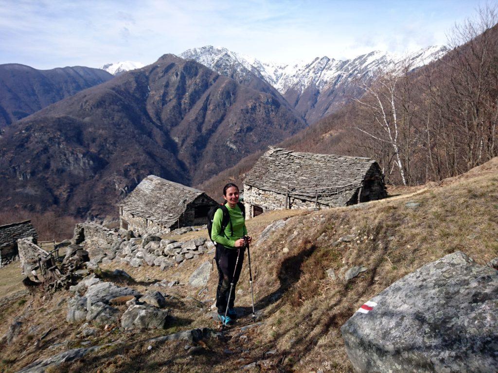 Erica guarda i camosci e i camosci guardano nel sole