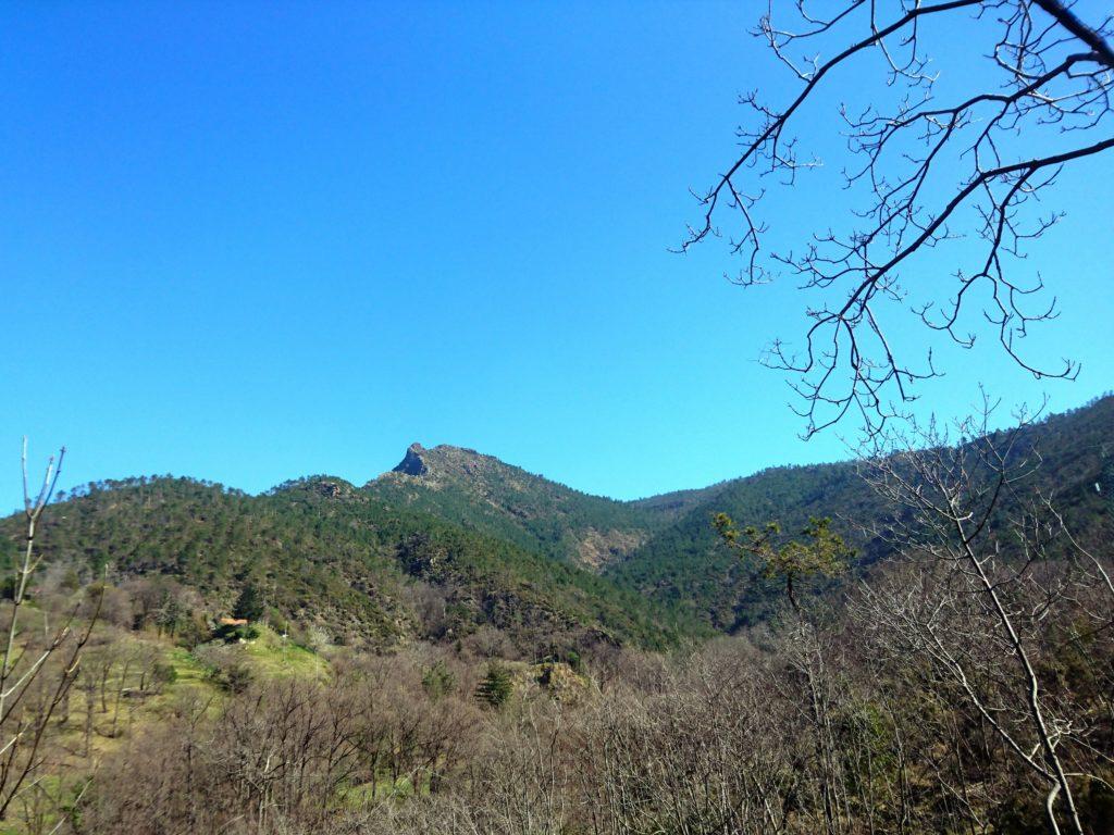 la vista verso la valle del Rio Baiardetta, con la cima dalla caratteristica forma a pinna