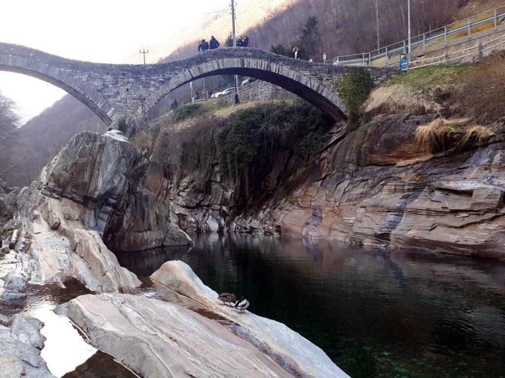 paperelle che si specchiano nell'acqua cristallina