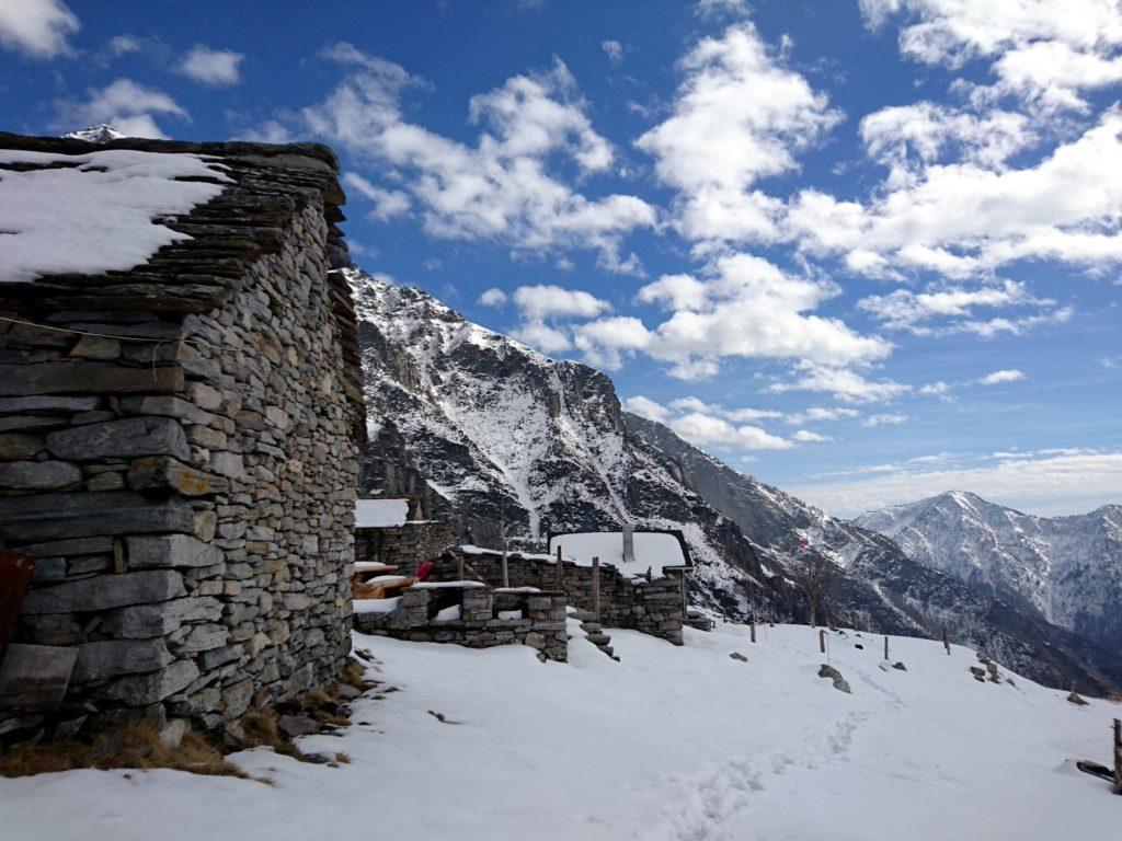 le casette dell'Alpe Bardughè