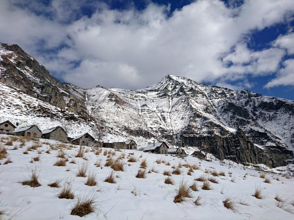 vista dell'Alpe Bardughè con alle spalle il Pizzo Vogorno