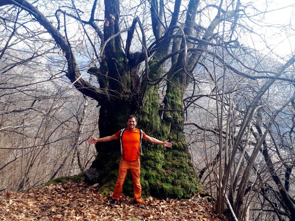 eccolo il gigante! questo è il lato nord, ricoperto dal muschio