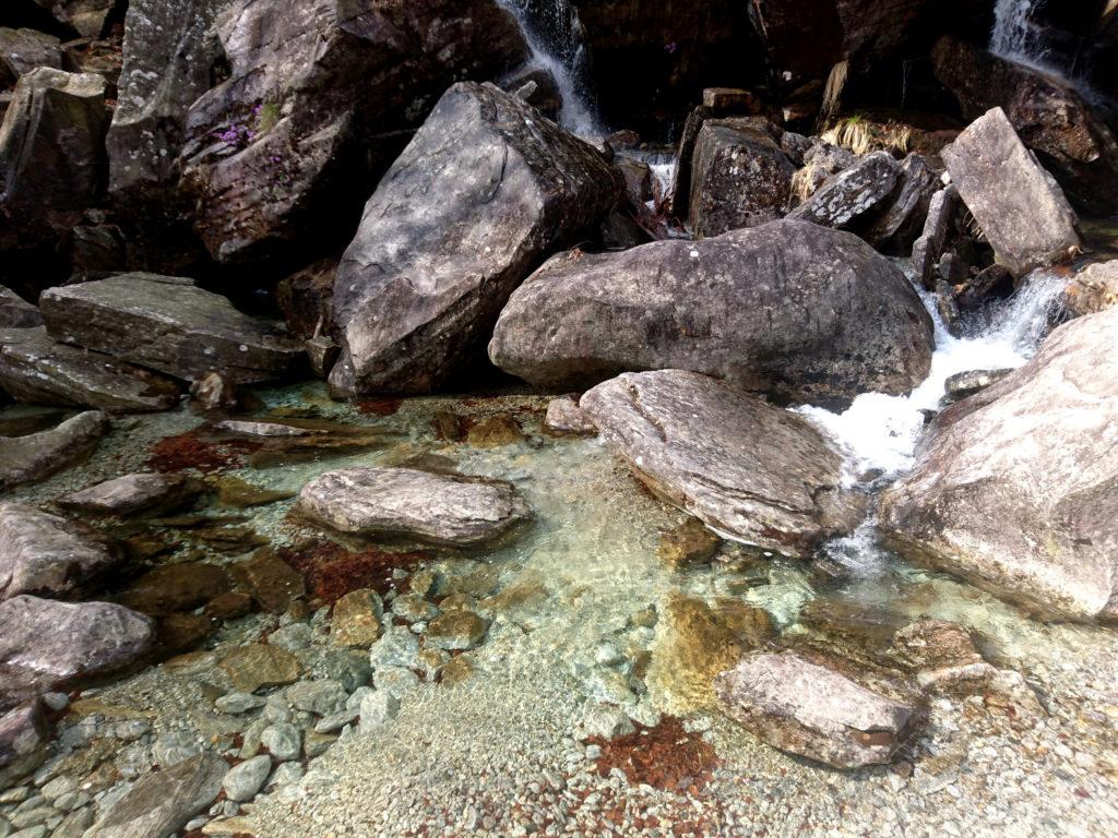l&#039;acqua cristallina di un affluente del torrente