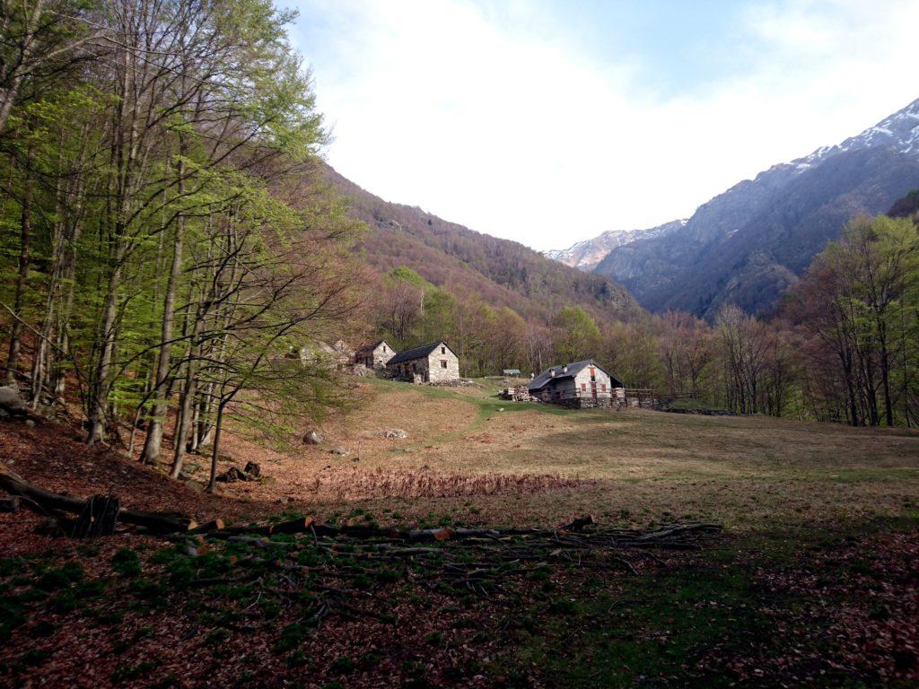 oggi ci aspetta la tratta più lunga ma anche la più facile: salutiamo i bivacchi di In La Piana e ci incamminiamo sul sentiero ufficiale verso La Colma