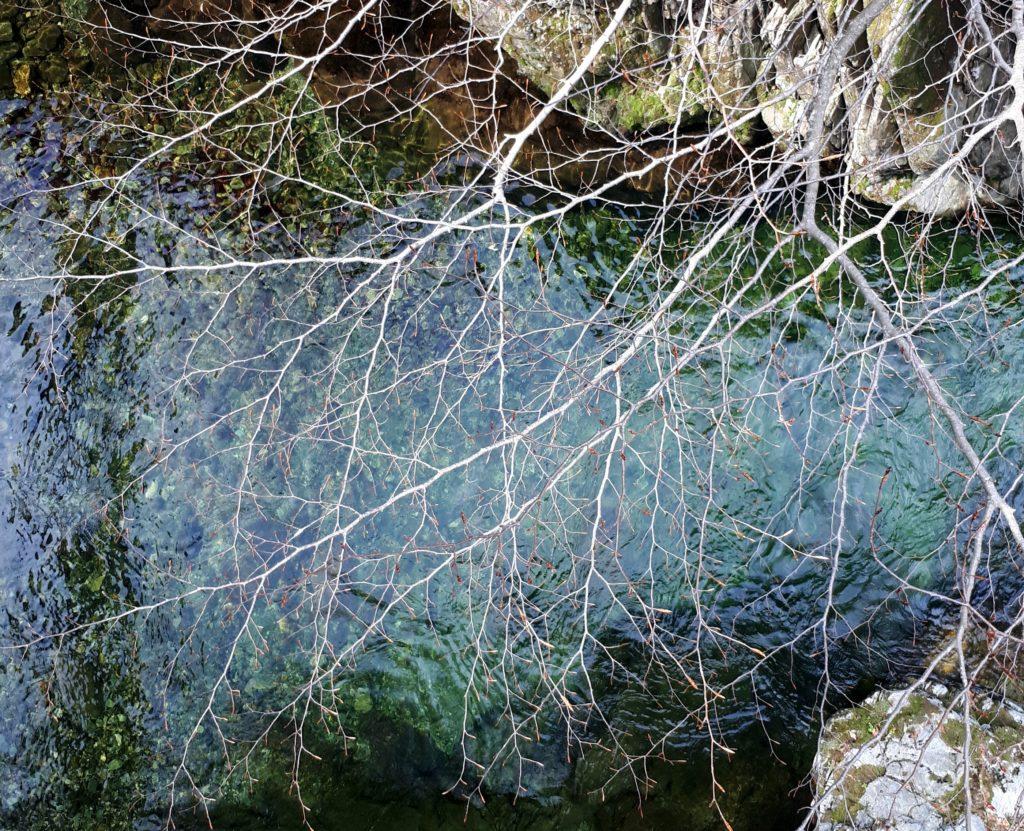 le acque del torrente di Val Gabbio