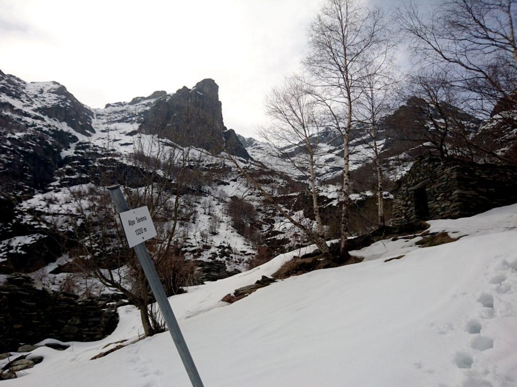 arrivati all'Alpe Serena approfittiamo delle tracce dei due ragazzi che ci precedono di poco