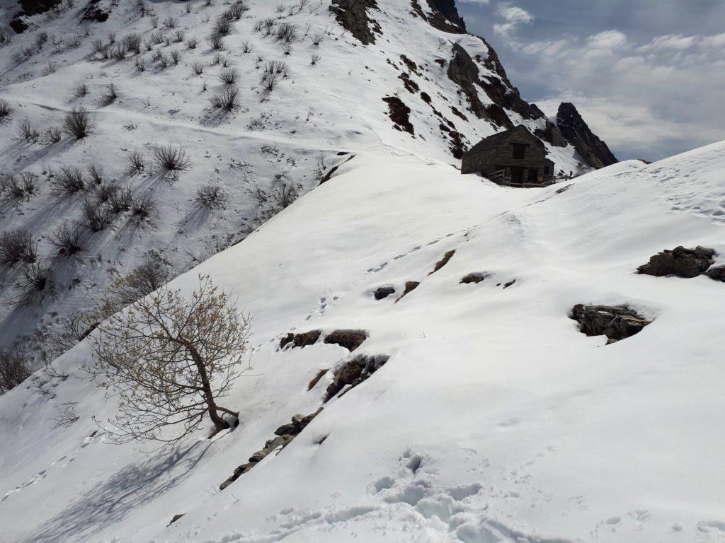 il bel bivacco della Colma di Premosello, con il suo "albero custode"