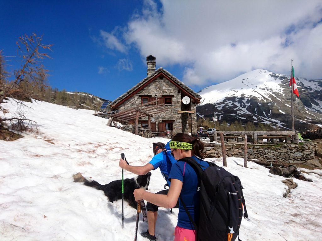 in vista del Rifugio Gattascosa veniamo accolti da Zoe, la Border Collie padrona di casa