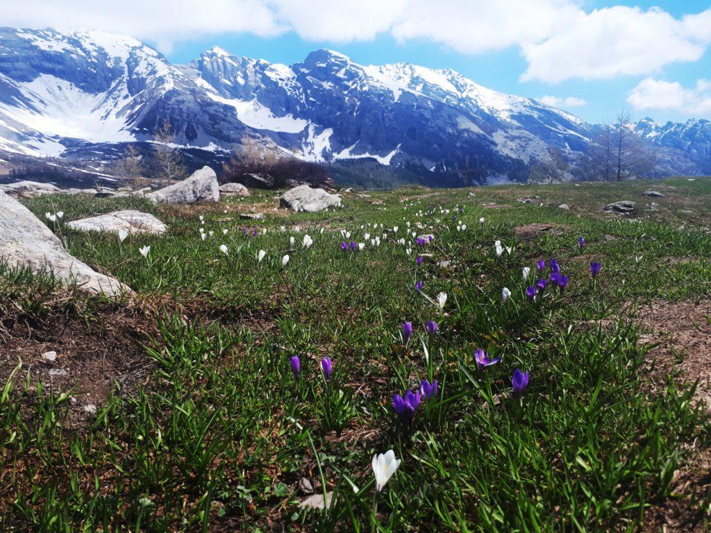 dal rifugio Gattascosa si gode di una meravigliosa vista su tutta la valle