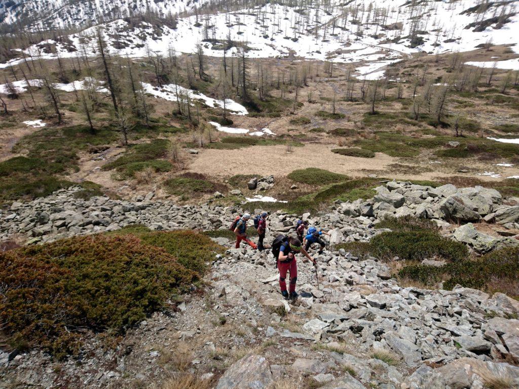 decidiamo di salire al Passo di Monscera nei punti privi di neve, riprendendo il sentiero più a monte