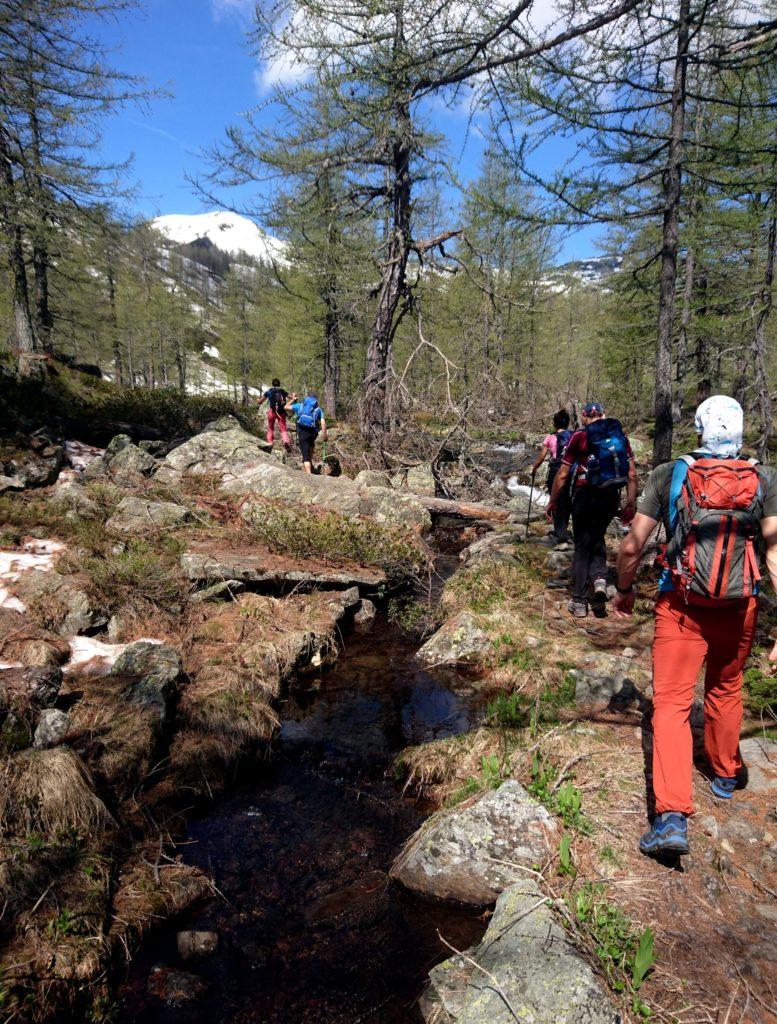 la stradina campestre presto si tramuta in sentiero, attraversando boschetti e zone umide con molti ruscelletti