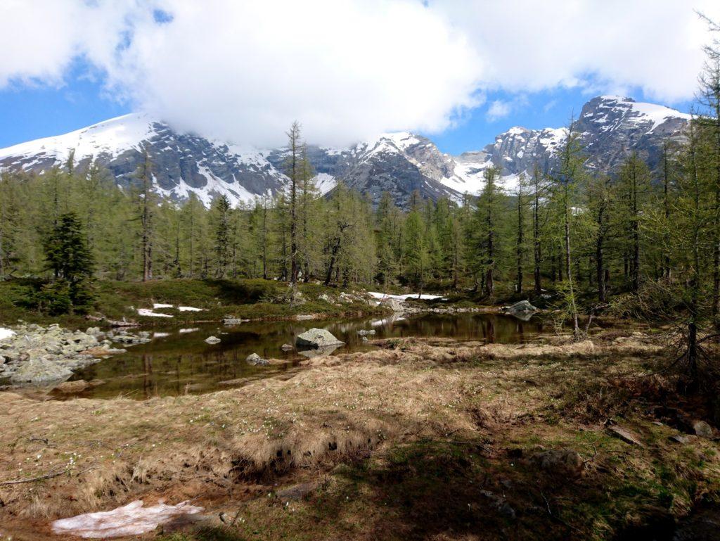 uno dei primi laghetti - paludi che si incontrano salendo verso il Rifugio Gattascosa