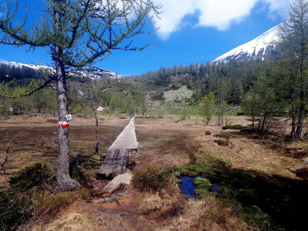 il bellissimo pianoro di cui parliamo nell'articolo, attraversato da una lunghissima passerella in legno