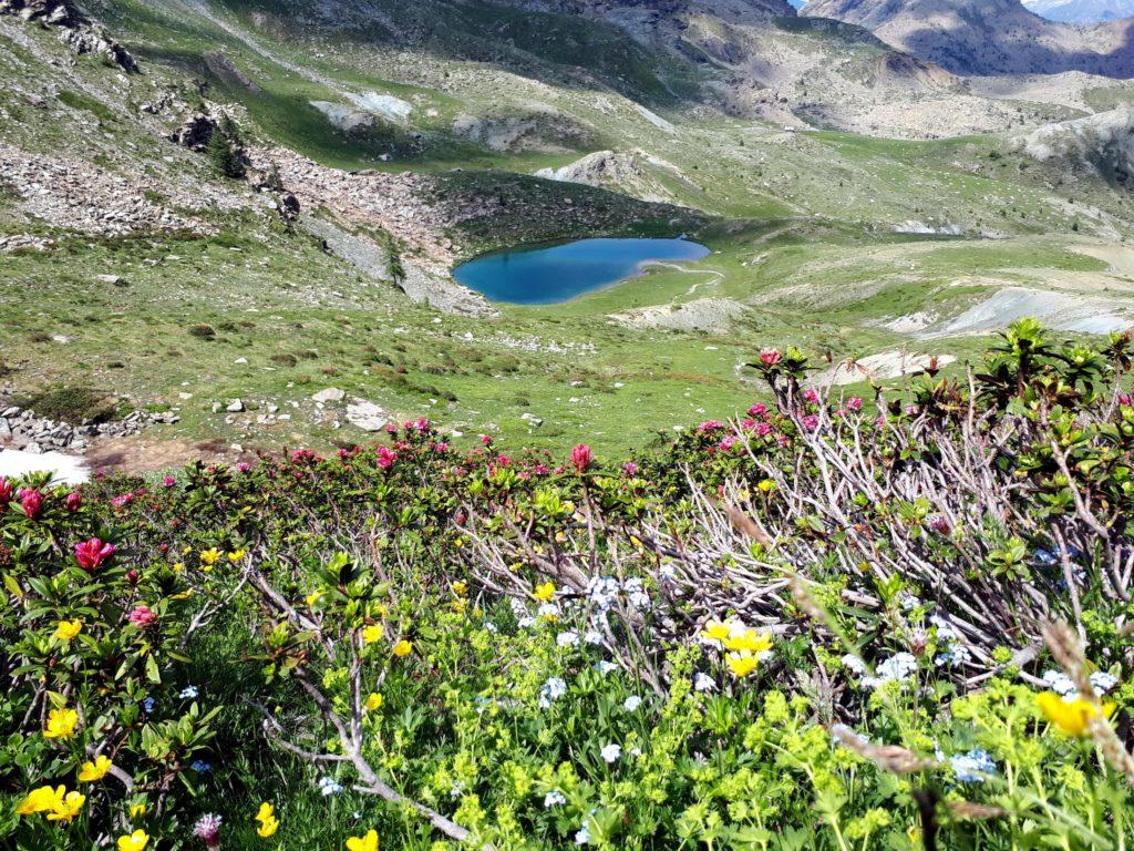 esplosione di colori su questo versante!