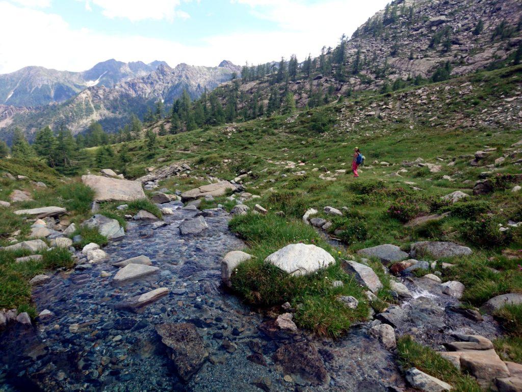 scendendo verso valle: il sentiero costeggia il torrentello di acqua cristallina