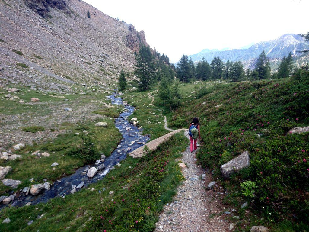 scendendo verso valle: il sentiero costeggia il torrentello di acqua cristallina