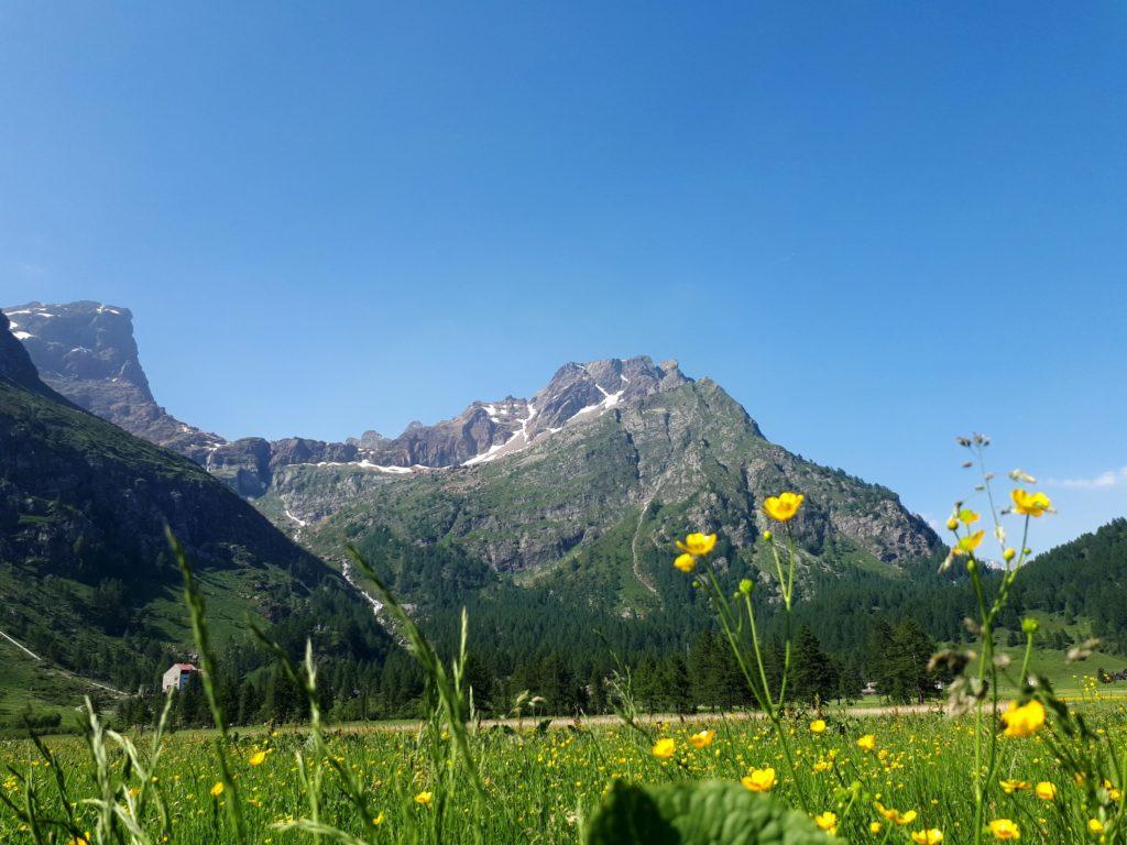 bellissima vistra dall&#039;Alpe Devero della Punta della Rossa, della Bastionata, dell&#039;Esmeralda e del Crampiolo
