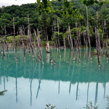 Nel cuore dell’Hokkaido: non solo trekking, in viaggio on the road