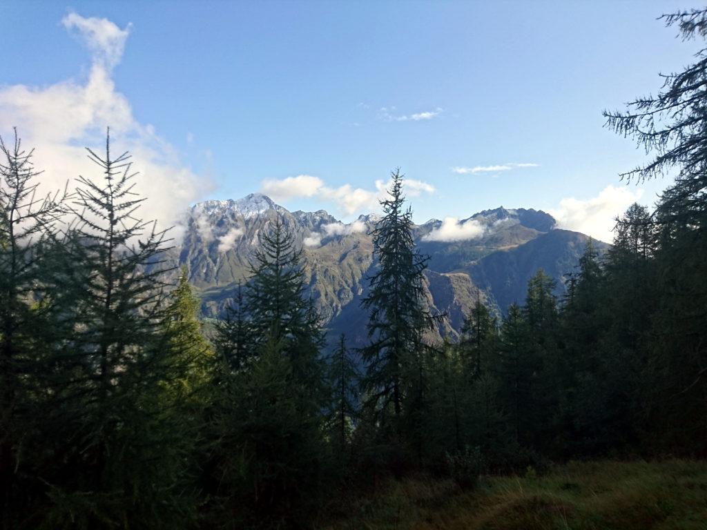 siamo quasi sul primo pianoro (mirtilli e lamponi come se piovesse!)