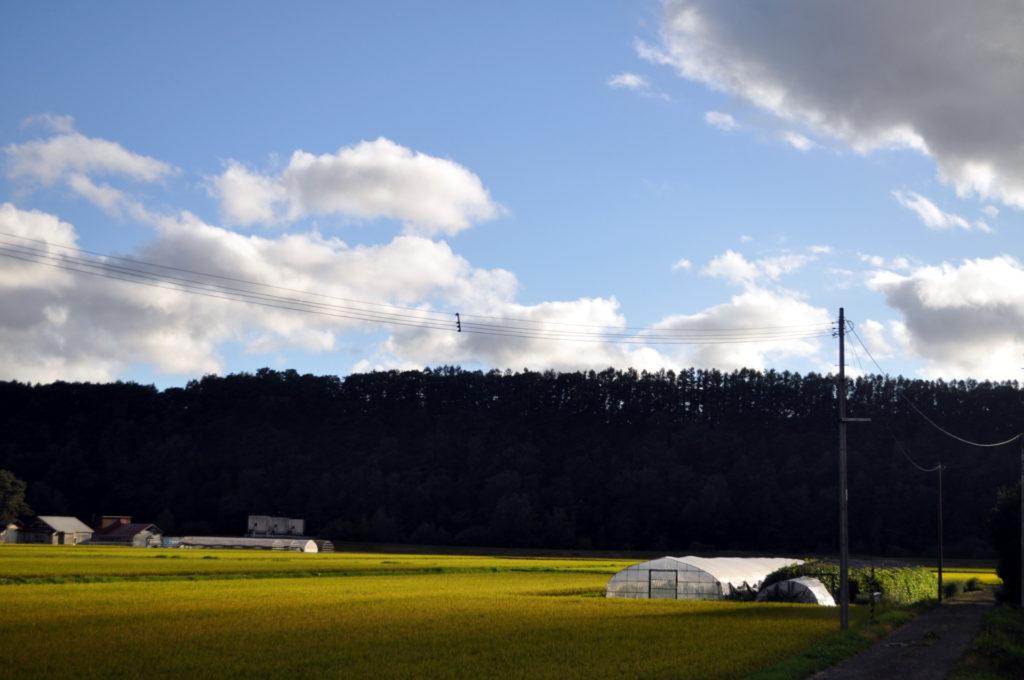 on the road: luci dell&#039;Hokkaido