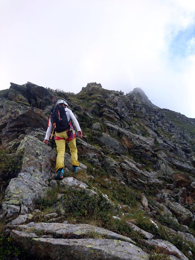 giunti al Passo del Mottone si comincia a salire per facili pendii sulla Cresta Est