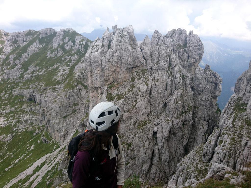 Erica e i bei pinnacoli che contornano il Campelli