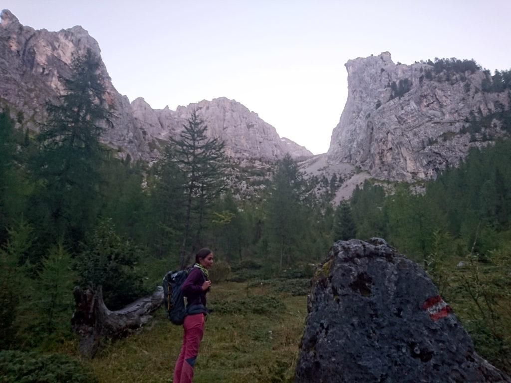 Risalendo il bosco, Erica si ricorda dell&#039;episodio di due anni fa dove pensavamo di aver sentito l&#039;orso e siamo saliti di corsa su una roccia un po&#039; più grande di questa