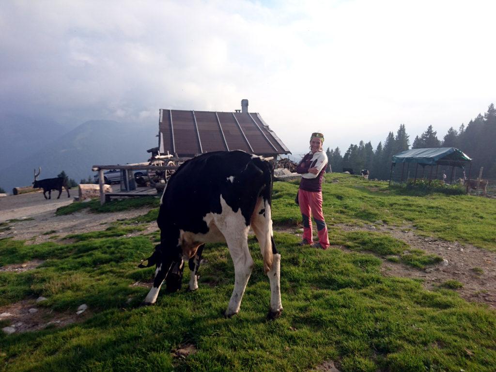 finita la gita, ci spostiamo alla malga Ritorto a bere una birra e a salutare le muuuuuuuucche! ;)