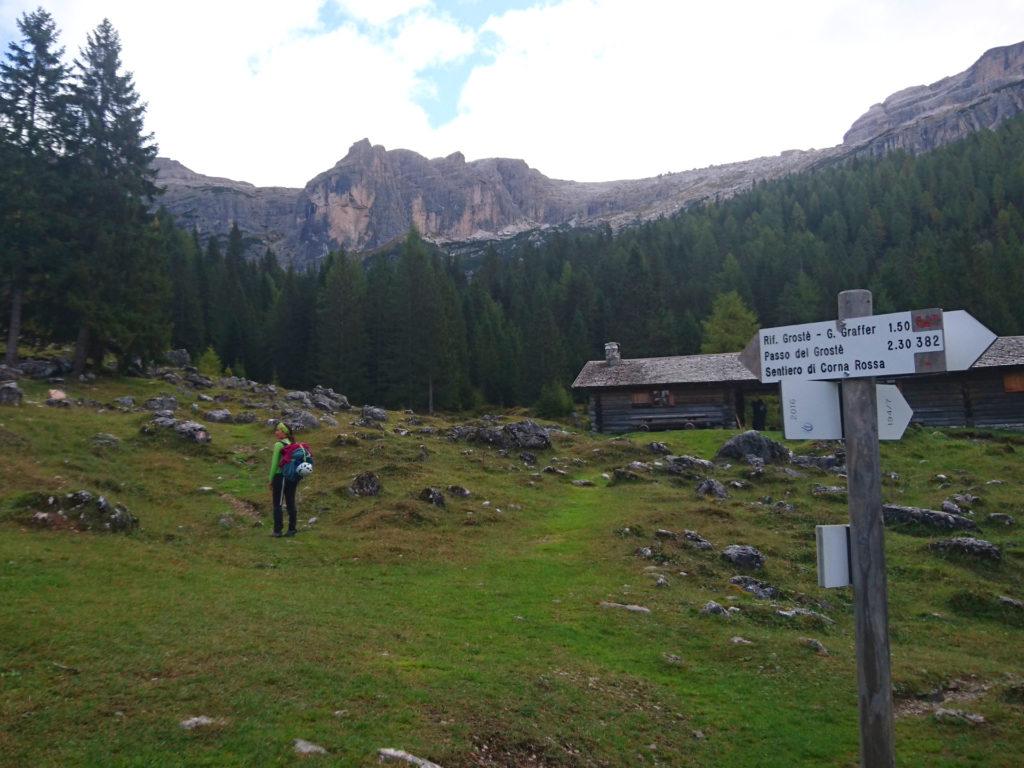 Erica alla malga di Vallesinella di Sopra, con già la Corna Rossa sullo sfondo