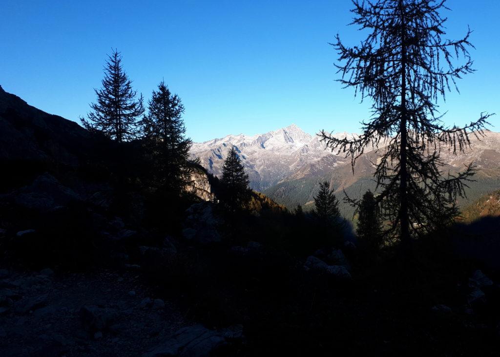 alba sul gruppo dell&#039;Adamello-Presanella: la valle del Tuckett è ancora in ombra