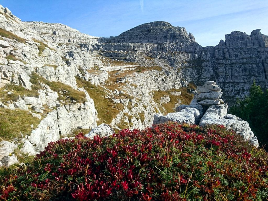 Altra bella vista dei cespugli rossi