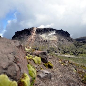 Mt. Tarumae-san: giro ad anello della caldera