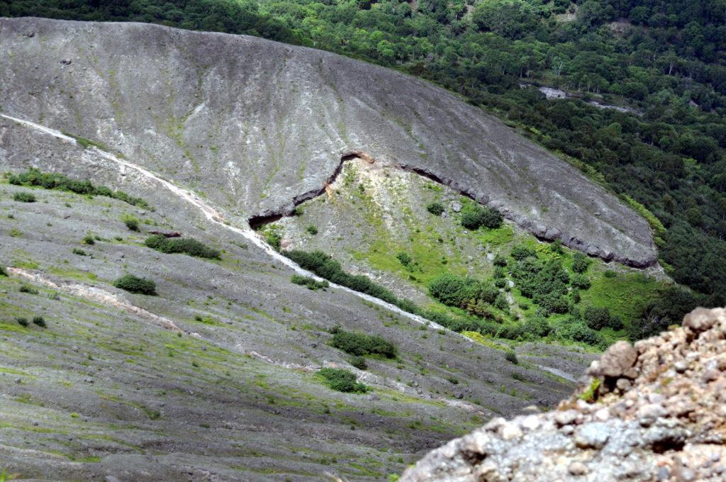 terra giovane: la lava depositatasi chissà quanto inizia ad essere colonizzata dalle specie vegetali