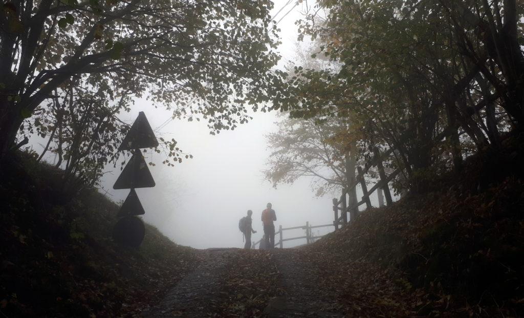 atmosfera autunnale e un po' lugubre alla Forcella di Sale