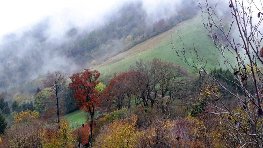 bellissimi i colori dei prati e degli alberi, quando le nuvole si aprono