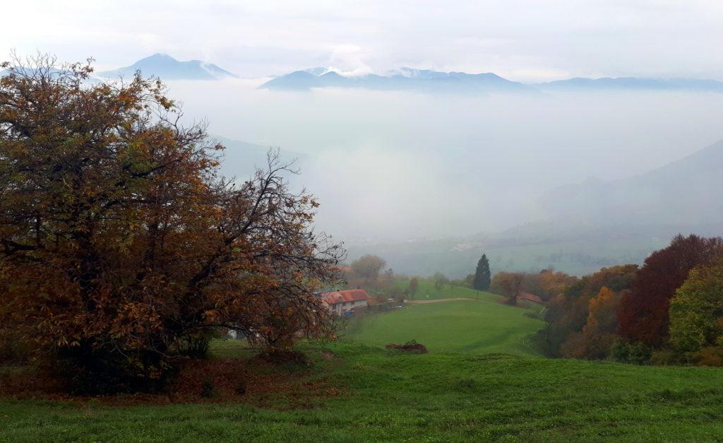 eccola là, l'osteria Pastina, che fa capolino tra gli alberi