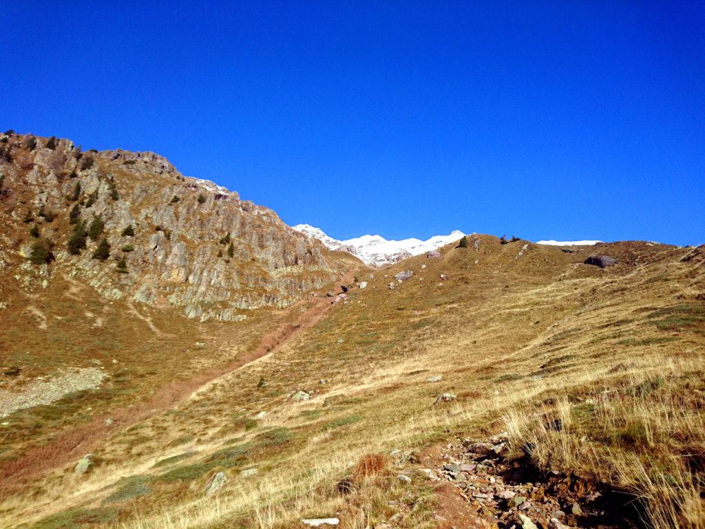 iniziamo ad intravedere la prima neve sui 3 Pizzi di fronte a noi