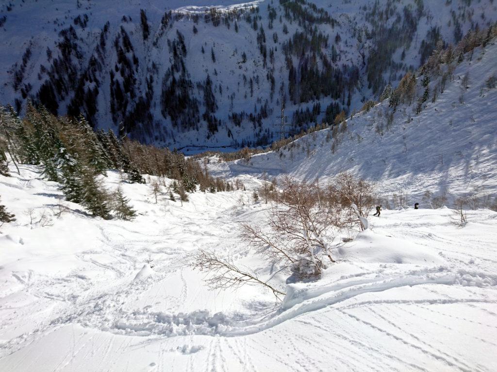 Risaliremo dritti per dritti questo ripido pendio che porta molto direttamente alla capanna Piansecco